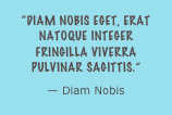 “Diam nobis eget, erat natoque integer fringilla viverra pulvinar sagittis.”
— Diam Nobis